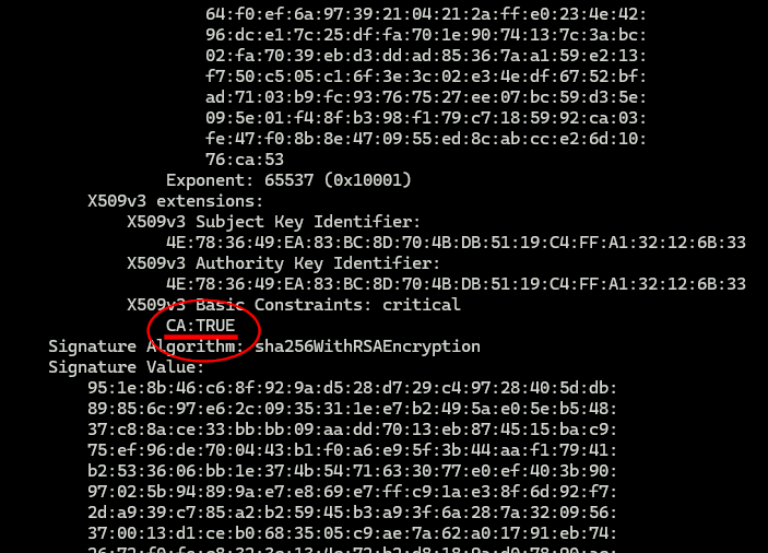 CA TRUE im Root-Zertifikat