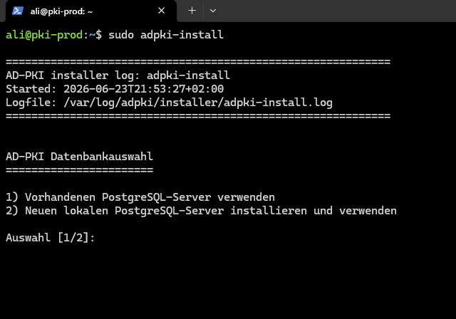 Auswahl zwischen vorhandenem und lokalem PostgreSQL-Server